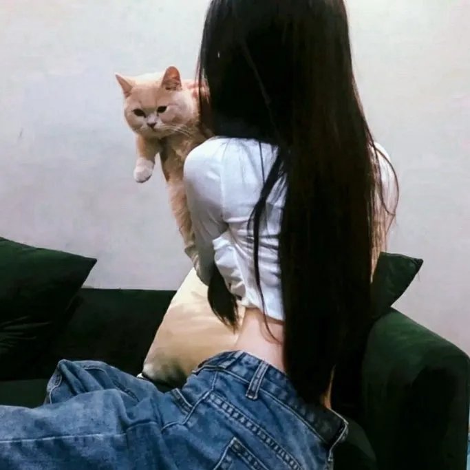 圣斗士星矢 极乐净土篇