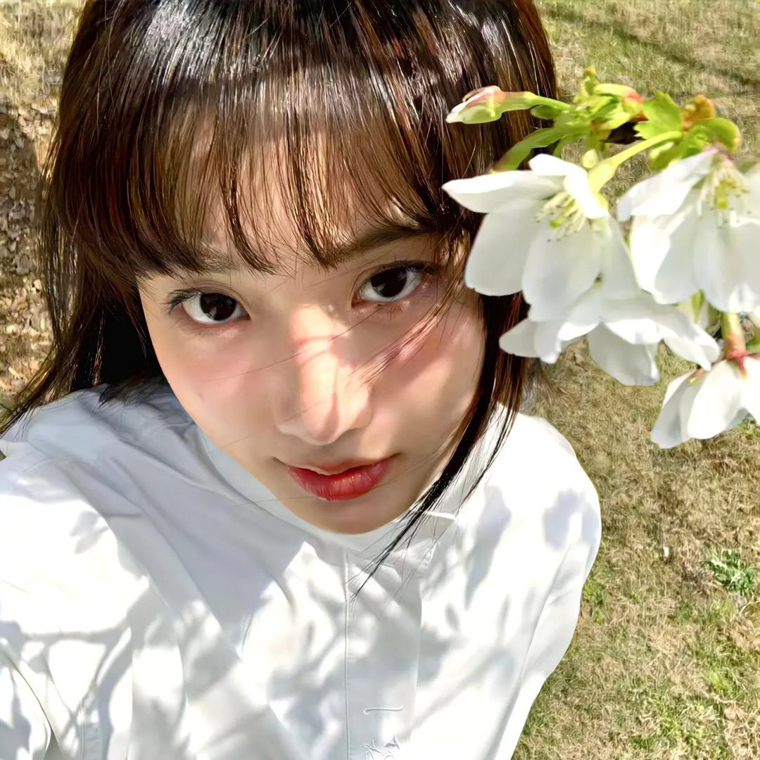未完成的机械钢琴曲